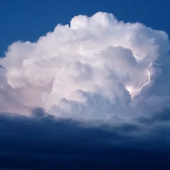 Meet your Posher, Ellie - Picture 3 of 3